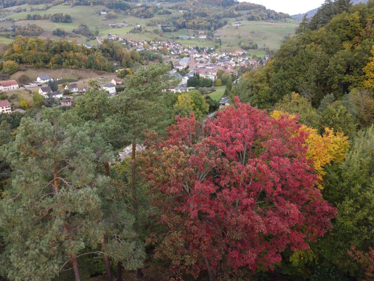 Villa Chene Rouge Lapoutroie Esterno foto