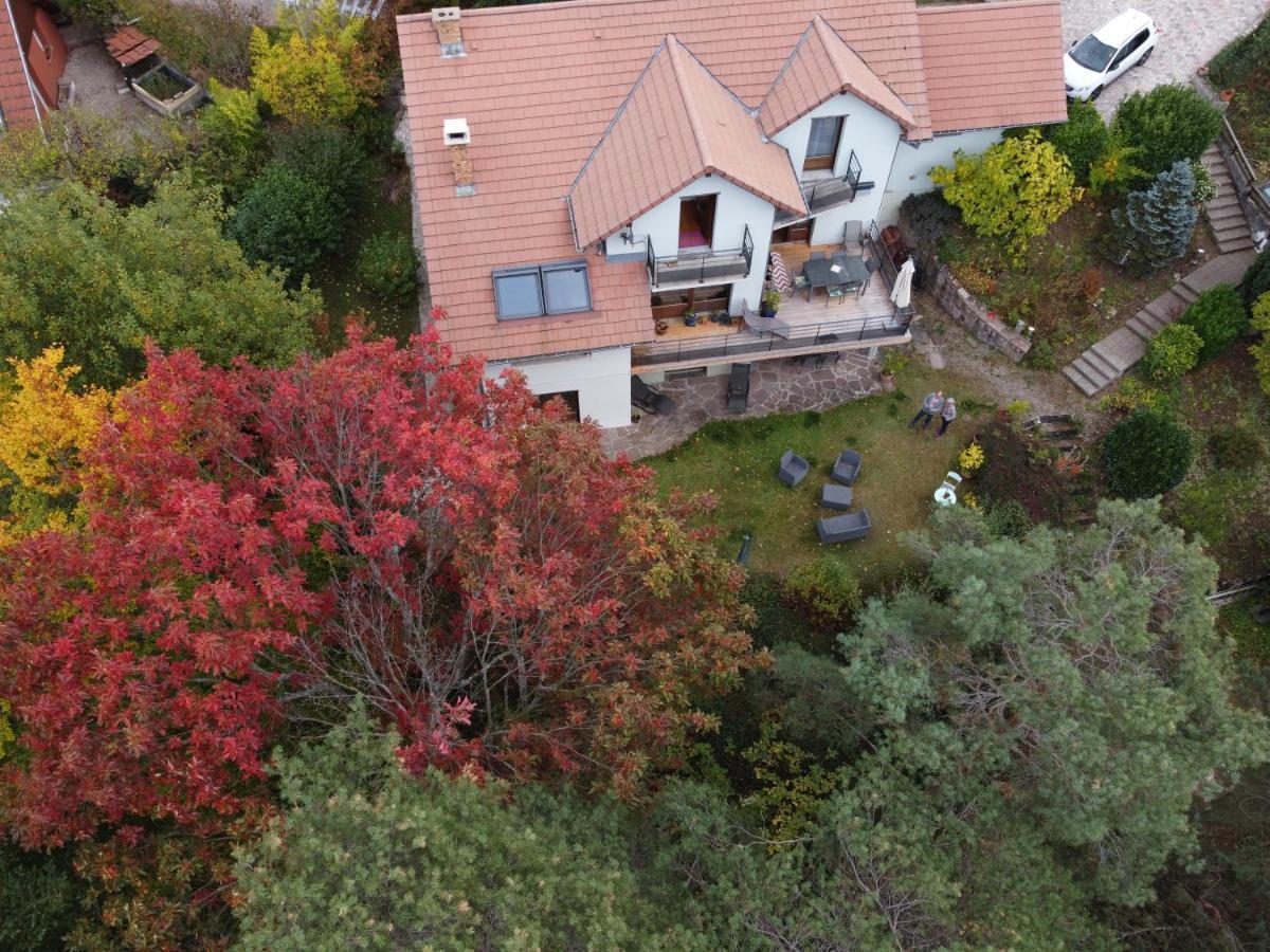 Villa Chene Rouge Lapoutroie Esterno foto