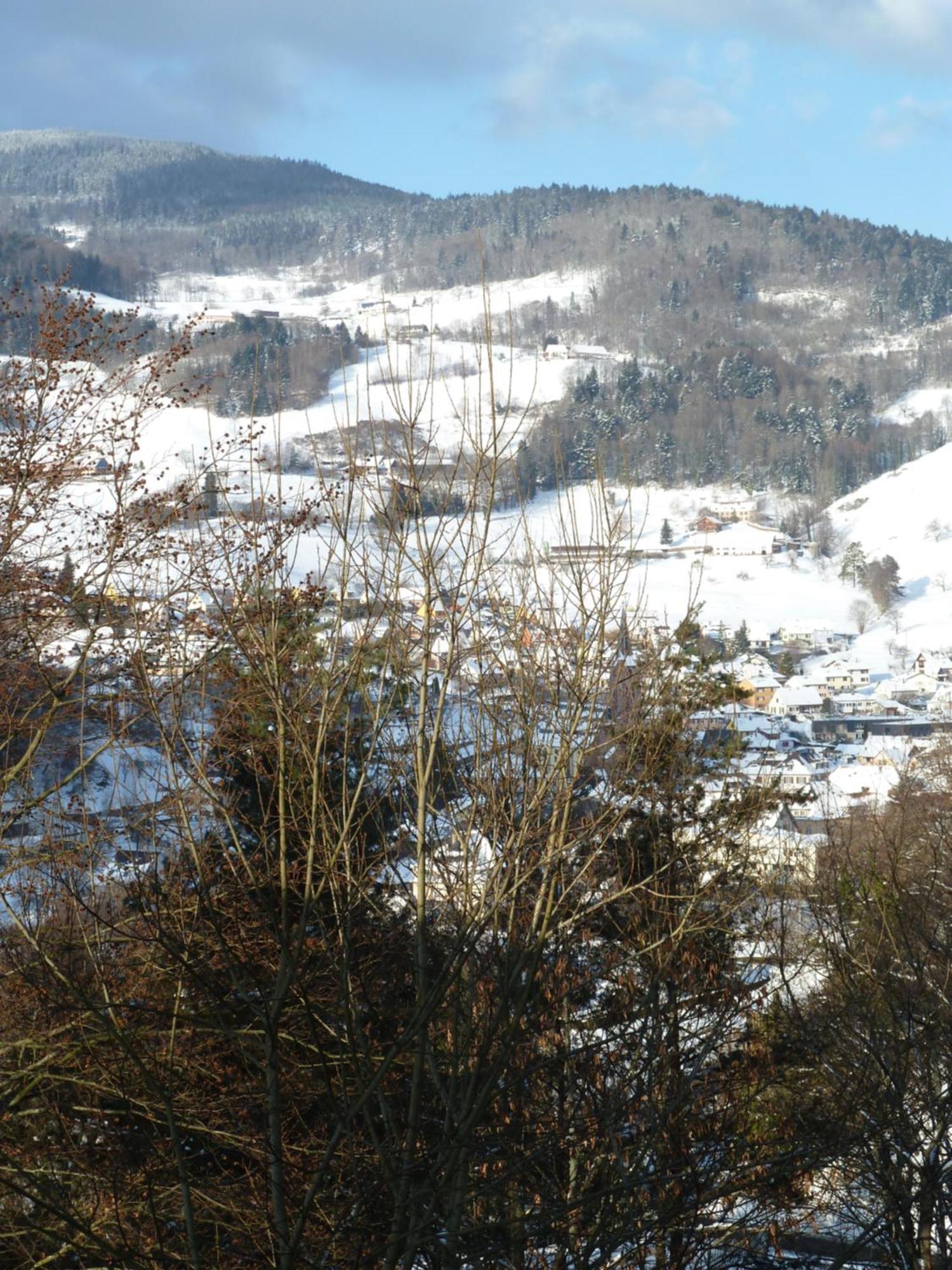 Villa Chene Rouge Lapoutroie Esterno foto